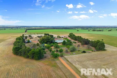 Property photo of 56 Thomson Lane Brucedale NSW 2650