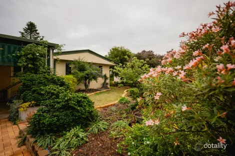 Property photo of 23 Downs Street Roma QLD 4455