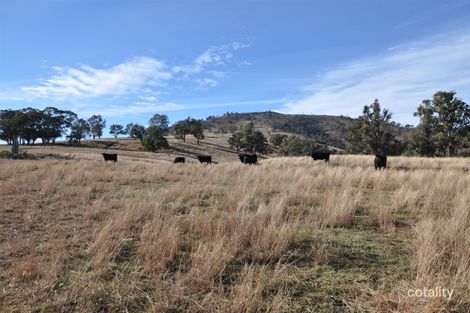 1491 Cooba Bulga Rd, Cassilis, NSW 2329