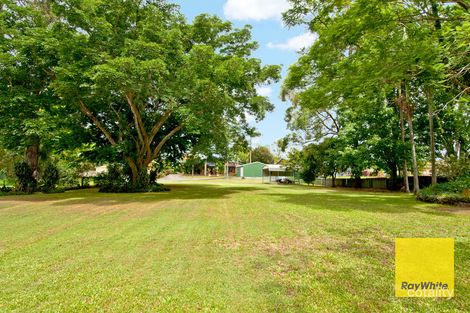 Property photo of 3 Borax Court Bethania QLD 4205