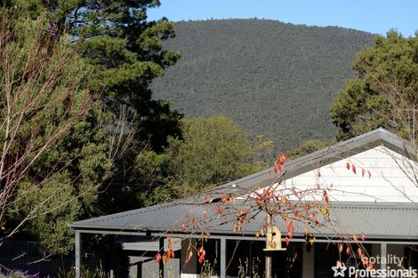 Property photo of 20 Christine Street Millgrove VIC 3799