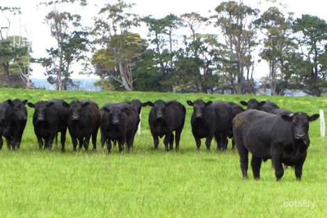 198 Glengleeson West Rd, Macarthur, VIC 3286