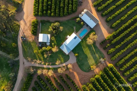46 Hollins Rd, Red Cliffs, VIC 3496