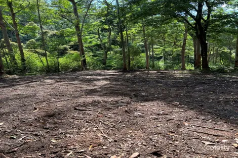 Lot 12 Five Day Creek Rd, Comara, NSW 2440