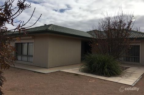 Property photo of 292 Ontario Street Renmark West SA 5341