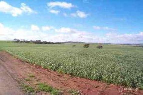 Property photo of 21 West Street Auburn SA 5451