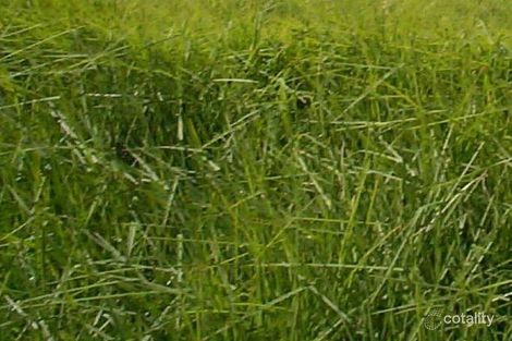 85-89 West Rd, Langwarrin South, VIC 3911