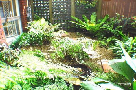 Property photo of 24 Ballard Place Coombabah QLD 4216