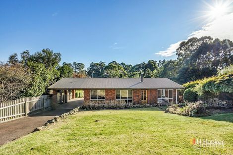 Property photo of 10 Belton Street Wynyard TAS 7325