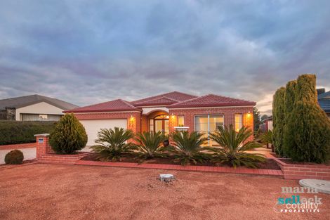 22 Mary Kitson St, Watson, ACT 2602