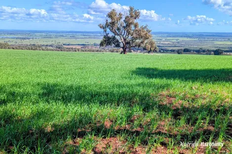 5428 Brand Hwy, Boonanarring, WA 6503