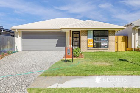Property photo of 58 Rhone Drive Holmview QLD 4207
