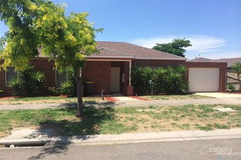 36 Lamour Ave, South Morang, VIC 3752