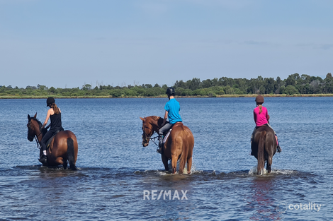 Property photo of 515 Metung Road Metung VIC 3904