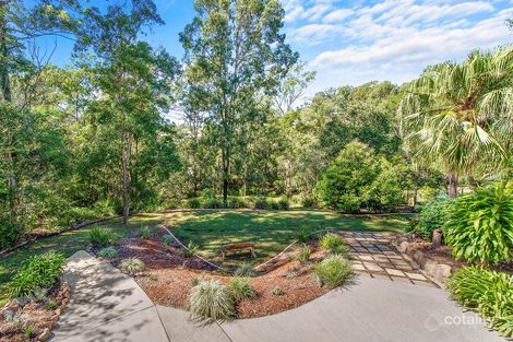 Property photo of 45 Bunya Road Everton Hills QLD 4053
