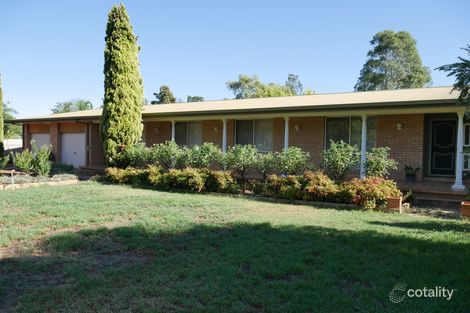 Property photo of 19 Lillypilly Road Leeton NSW 2705