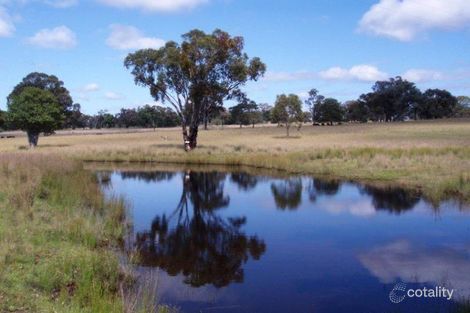 329 Wallangra Rd, Ashford, NSW 2361