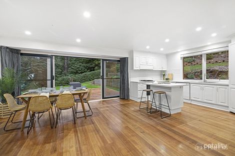 Property photo of 8 Cooloongatta Road Sassafras VIC 3787