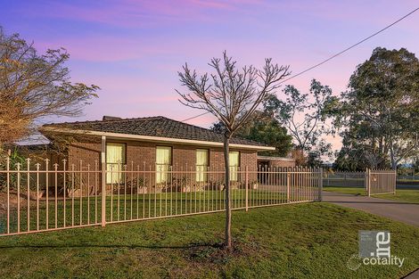 11 Tilson Gr, Wangaratta, VIC 3677