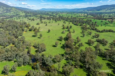 1007 Kiewa Valley Hwy, Staghorn Flat, VIC 3691
