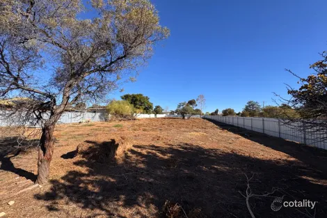 Property photo of 10 Murphys Road Walpeup VIC 3507