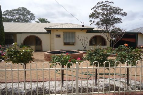 Property photo of 387 Anzac Road Risdon Park SA 5540