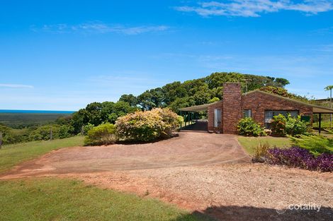 111 Buckombil Mountain Rd, Meerschaum Vale, NSW 2477