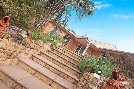 Property photo of 38-40 Cardinal Court Palmwoods QLD 4555