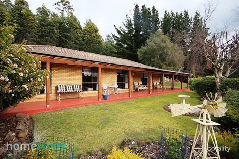 560 Pelverata Rd, Kaoota, TAS 7150