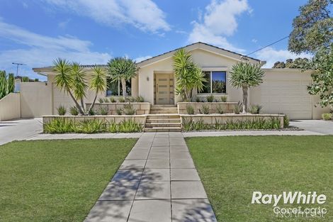 Property photo of 25 Cuthbert Avenue Gulfview Heights SA 5096