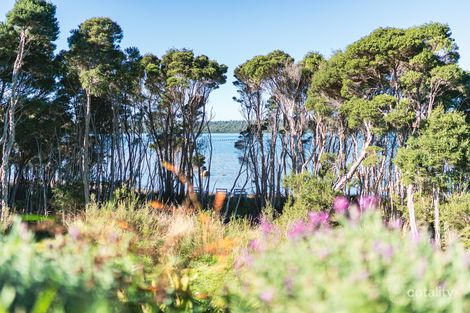 Property photo of 2/484 Binalong Bay Road St Helens TAS 7216