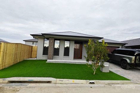 Property photo of 19 Shell Street Nerang QLD 4211