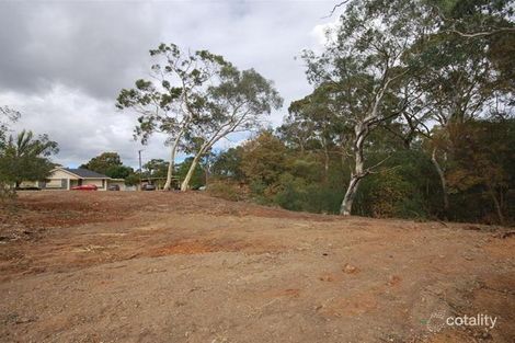 Property photo of 23 Oleander Drive Banksia Park SA 5091