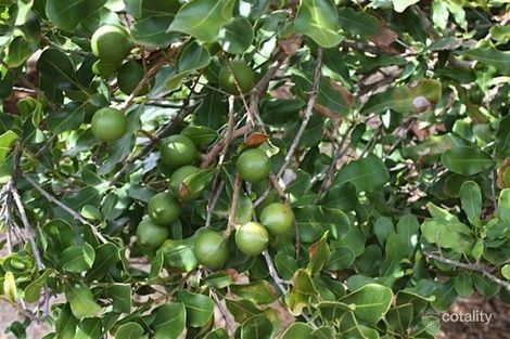 Property photo of 50 Spoonbill Close Chittering WA 6084