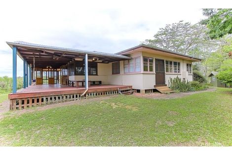 Property photo of 442 Diddillibah Road Diddillibah QLD 4559