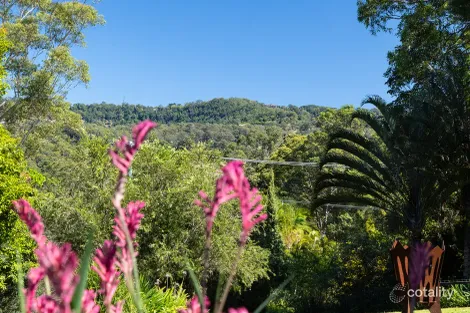 Property photo of 40-44 Kalang Drive West Woombye QLD 4559