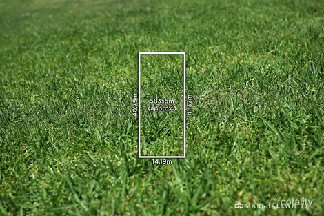 8 Mcarthur St, Malvern, VIC 3144