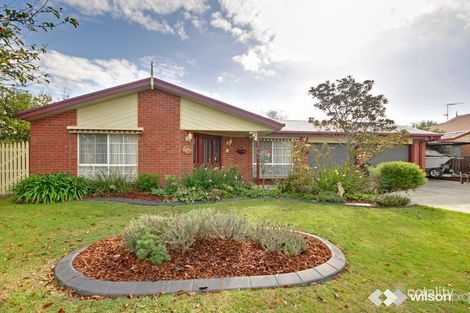 Property photo of 6 Blackwood Close Traralgon VIC 3844