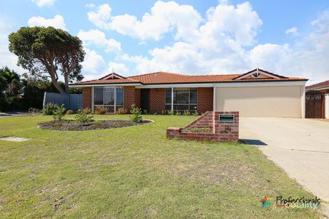 14 Haverford St, Alexander Heights, WA 6064