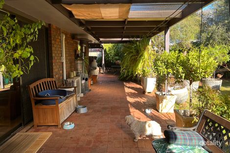Property photo of 4 Wilson Court Robinvale VIC 3549