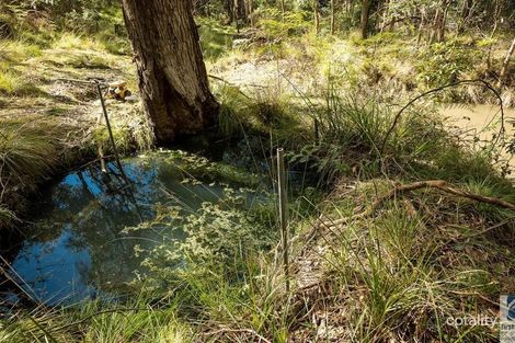 Property photo of 89 Kibell Lane Beechworth VIC 3747