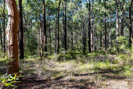 Lot 1979 Coonamble Cres, North Arm Cove, NSW 2324