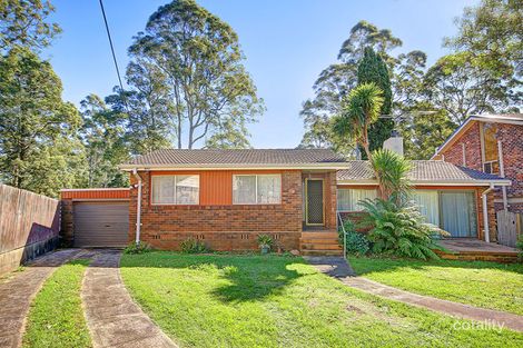 16 Fitzpatrick St, Marsfield, NSW 2122