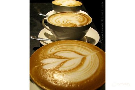 87 Rose St, Essendon, VIC 3040