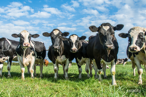 165 D G Cashins Rd, Buffalo, VIC 3958