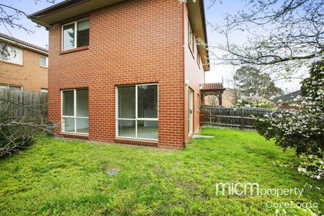 Property photo of 19 Rumpf Avenue Balwyn North VIC 3104