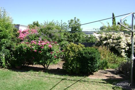 Property photo of 32 Third Street Cleve SA 5640