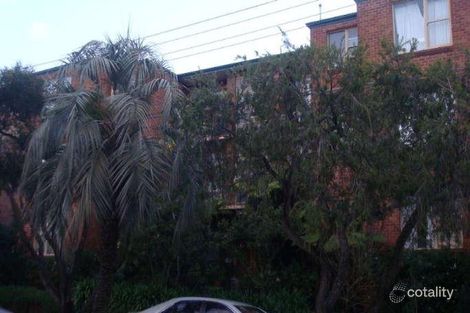 Property photo of 7/4 Loftus Street Ashfield NSW 2131