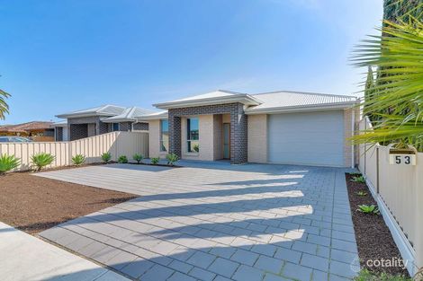Property photo of 53 Harvey Avenue Netley SA 5037