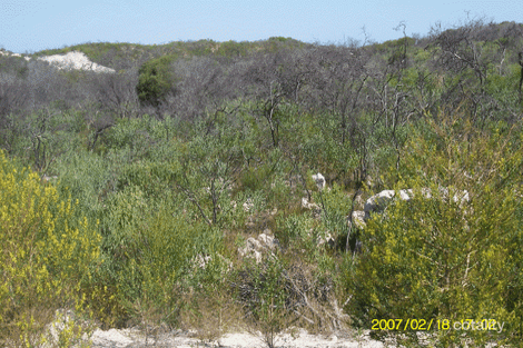 112 Homestead Loop, Jurien Bay, WA 6516